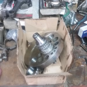20190225_154945 copy.jpg