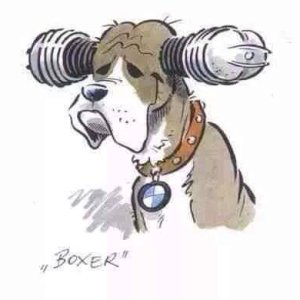 boxer cartoon.jpeg