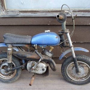 MINI5.jpg