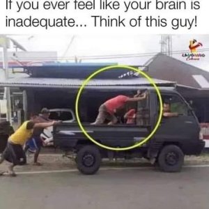 brain.jpeg