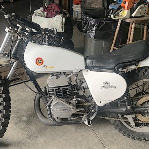 MK10 193 Pursang.JPG