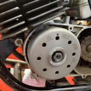 IMG_8390.jpeg
