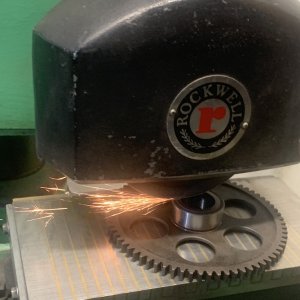 starter gear narrow.JPG