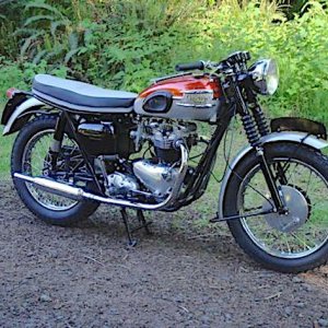 Triumph 62 Bonnie copy.jpg
