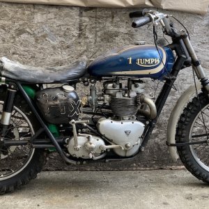 TR6 copy.JPG