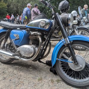 BSA