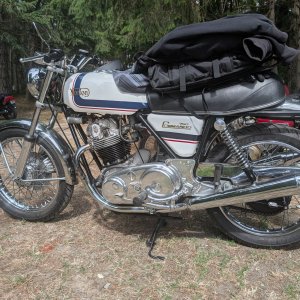 Norton