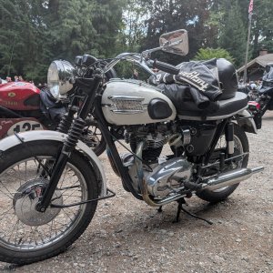 Triumph