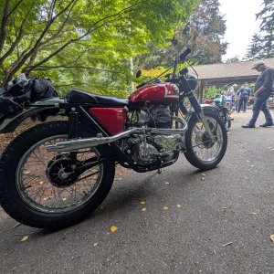 Norton