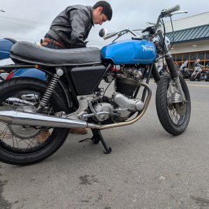 Norton