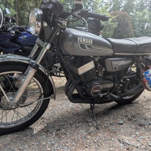 Yamaha
