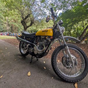 Norton