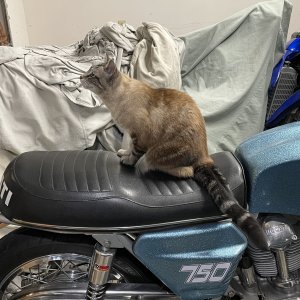 IMG_0819.jpeg