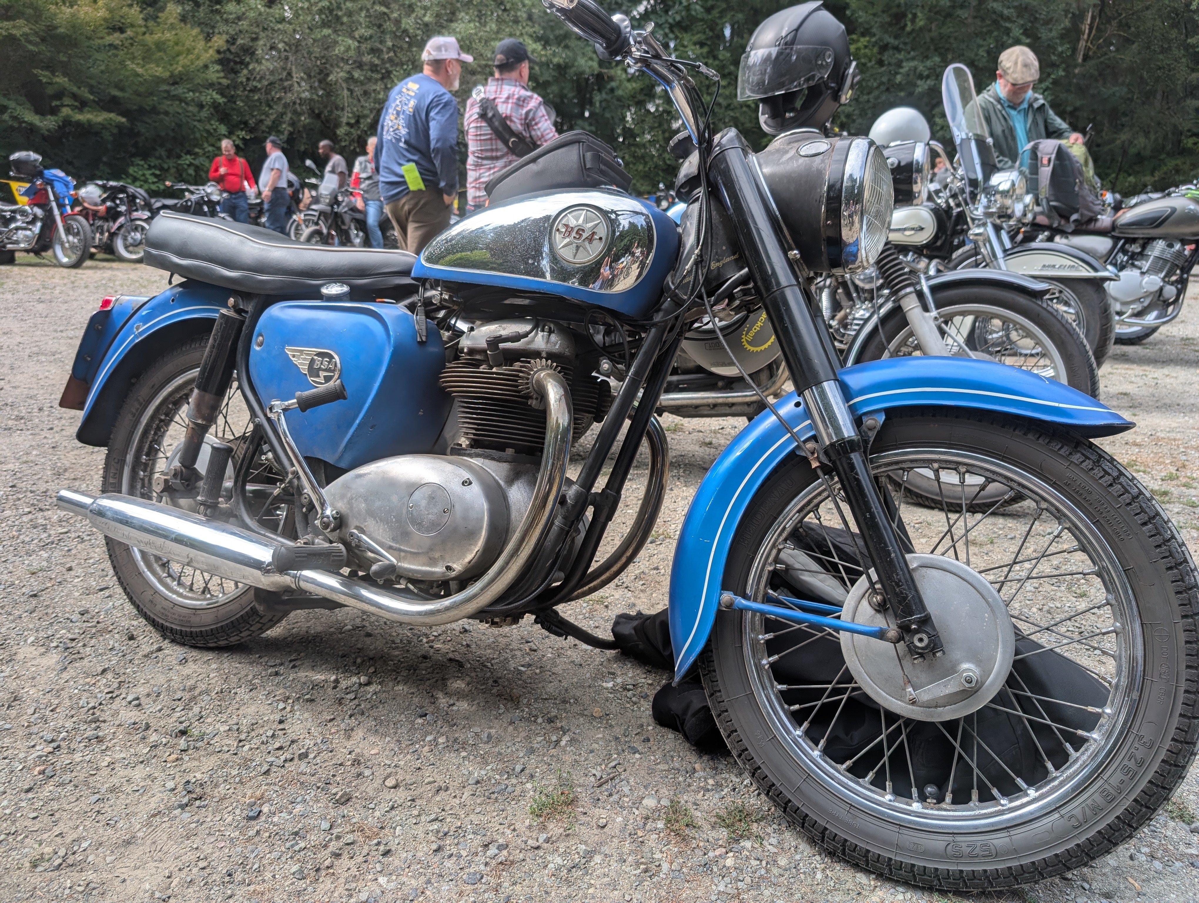 BSA