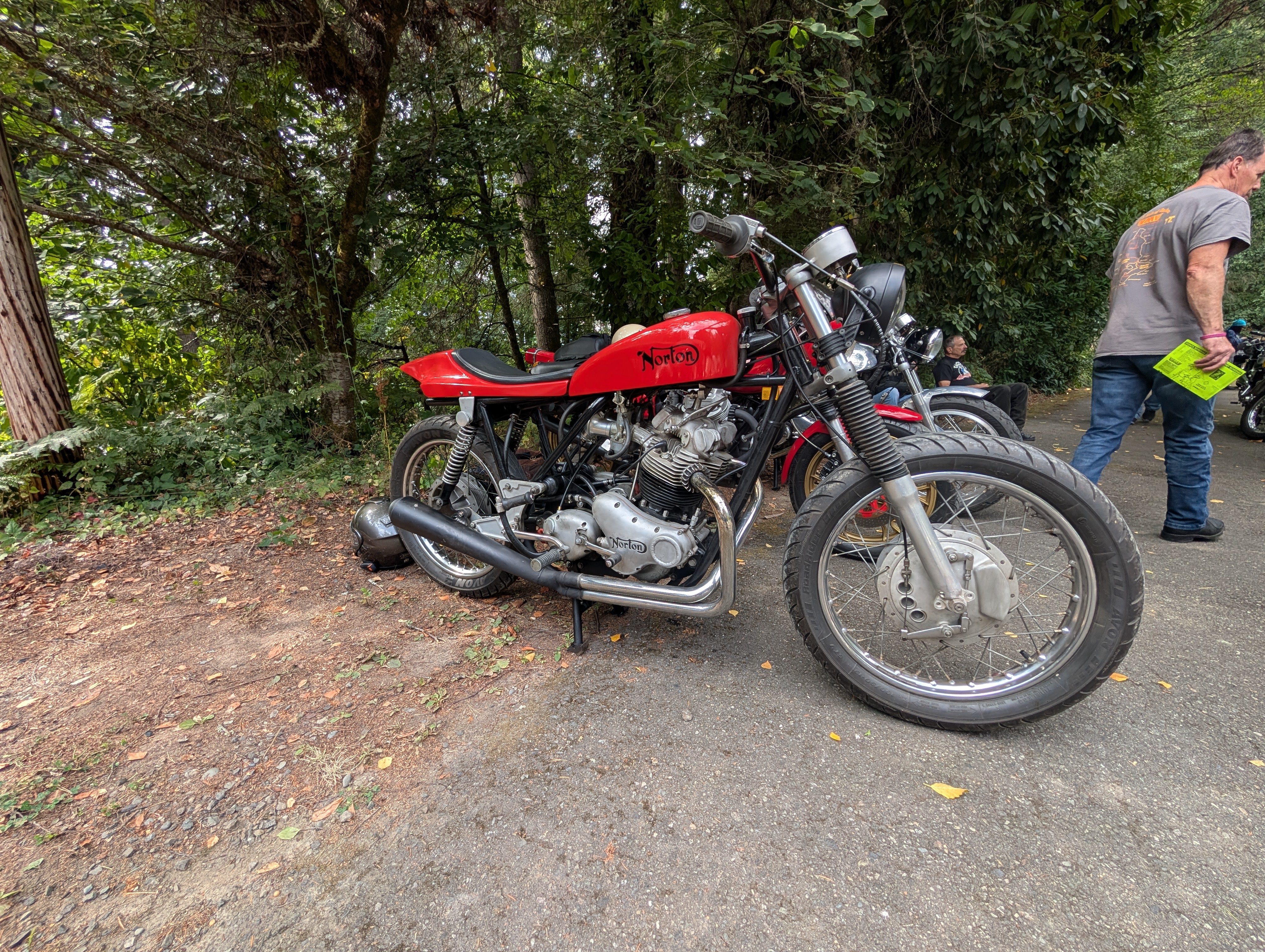 Norton