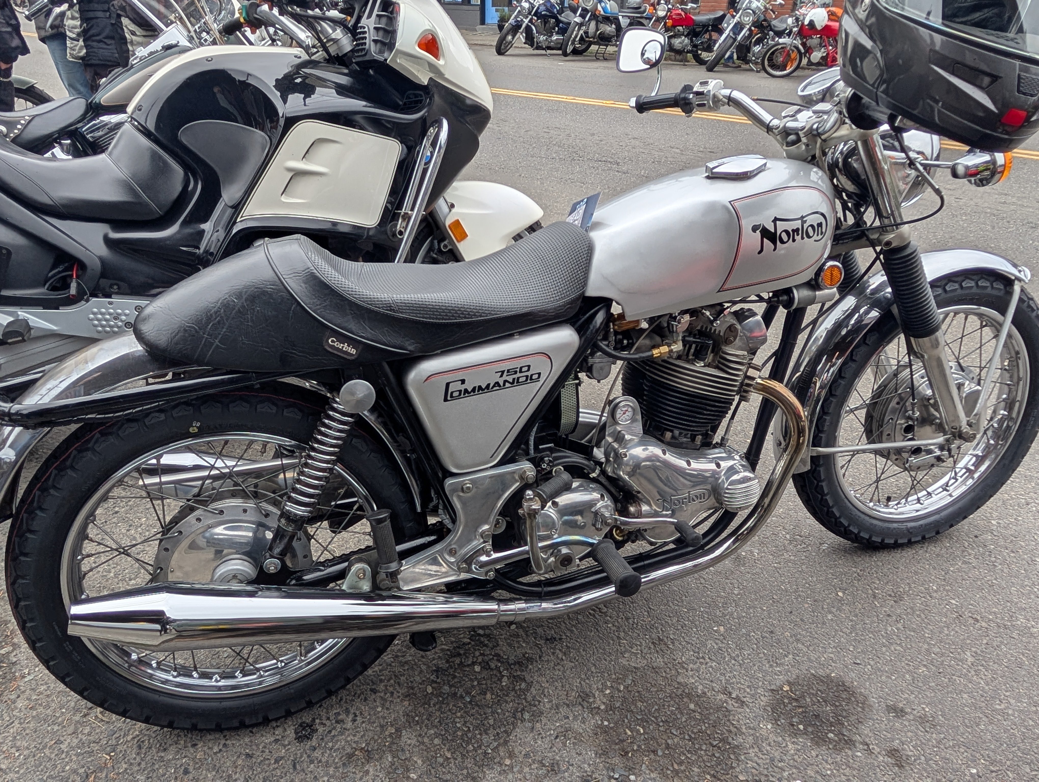 Norton