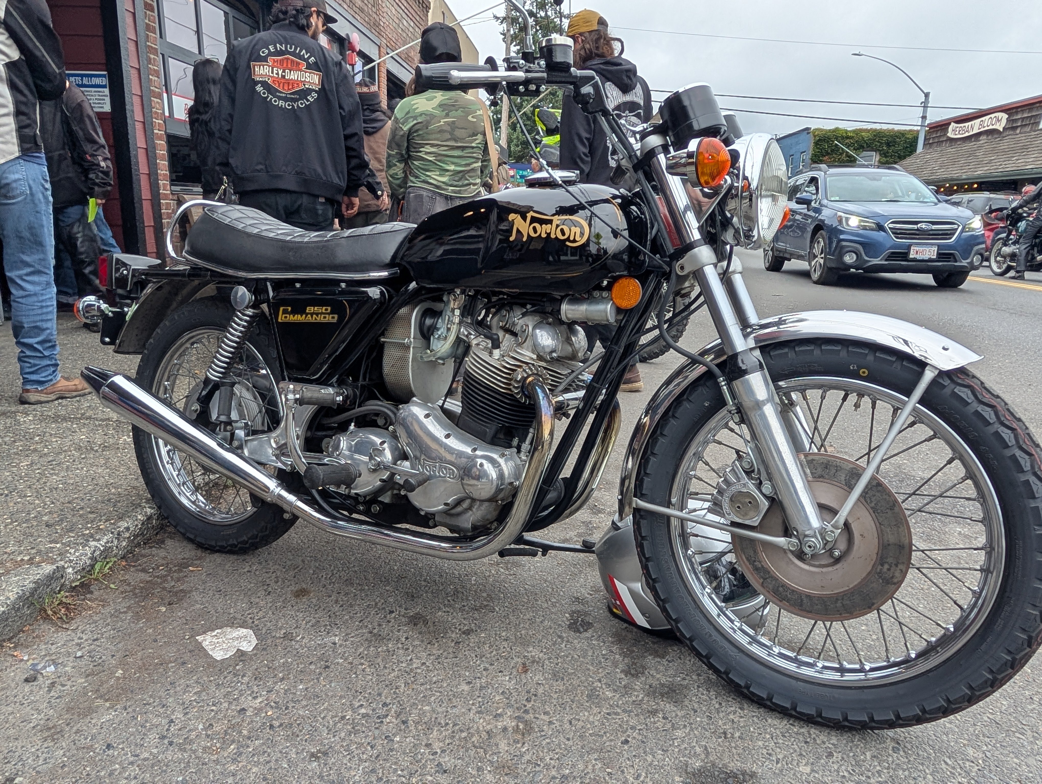 Norton