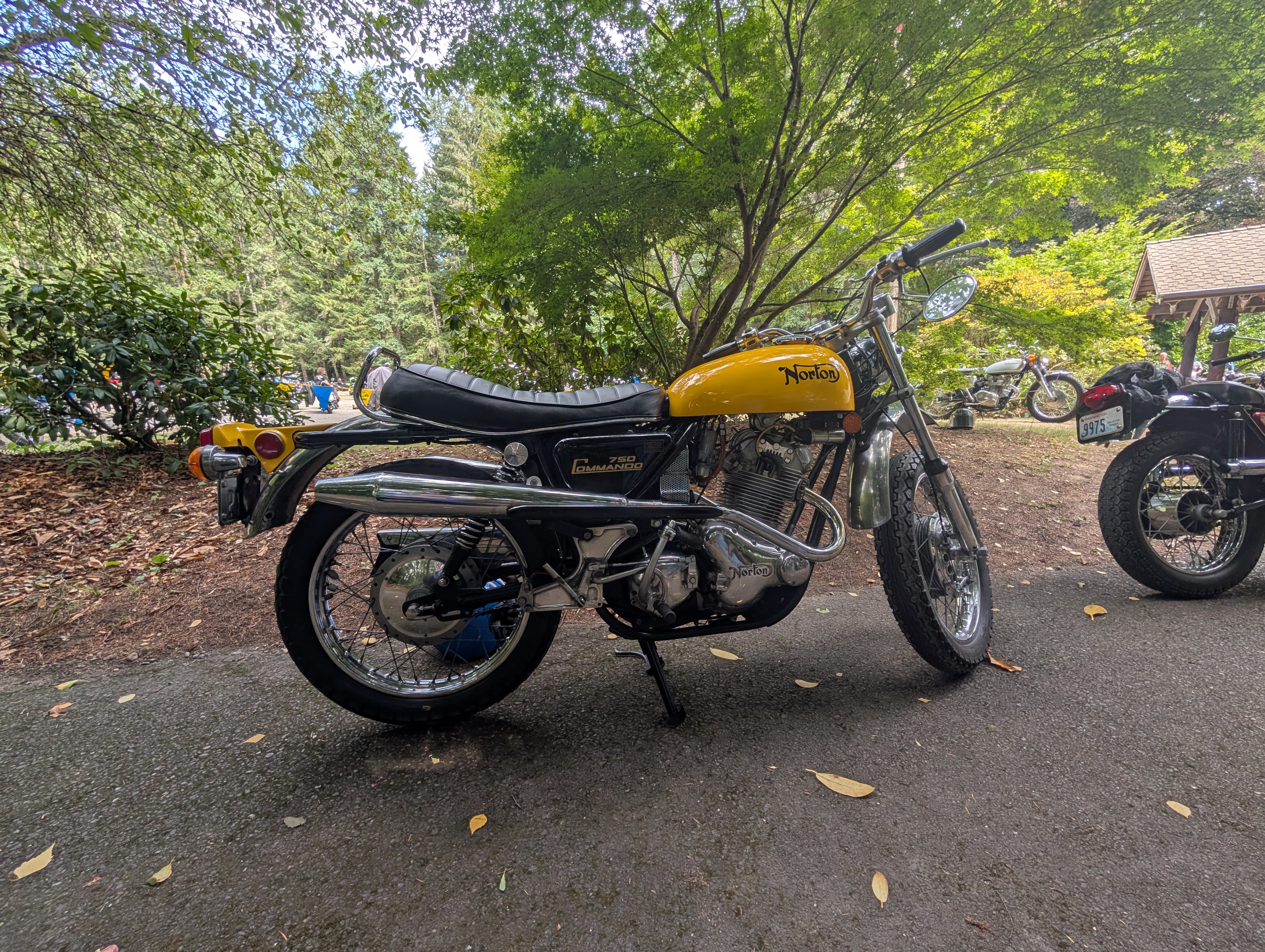 Norton