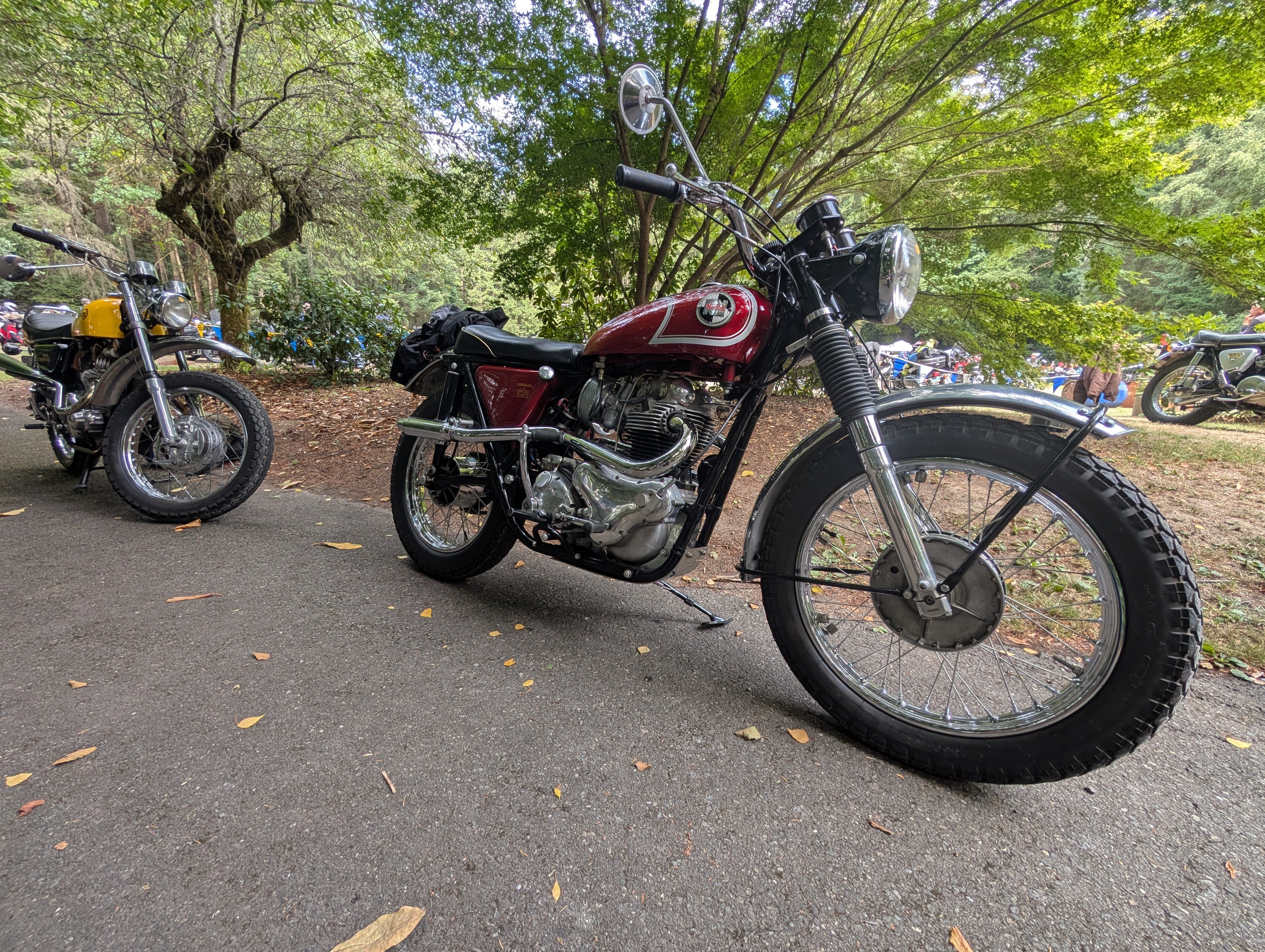 Norton