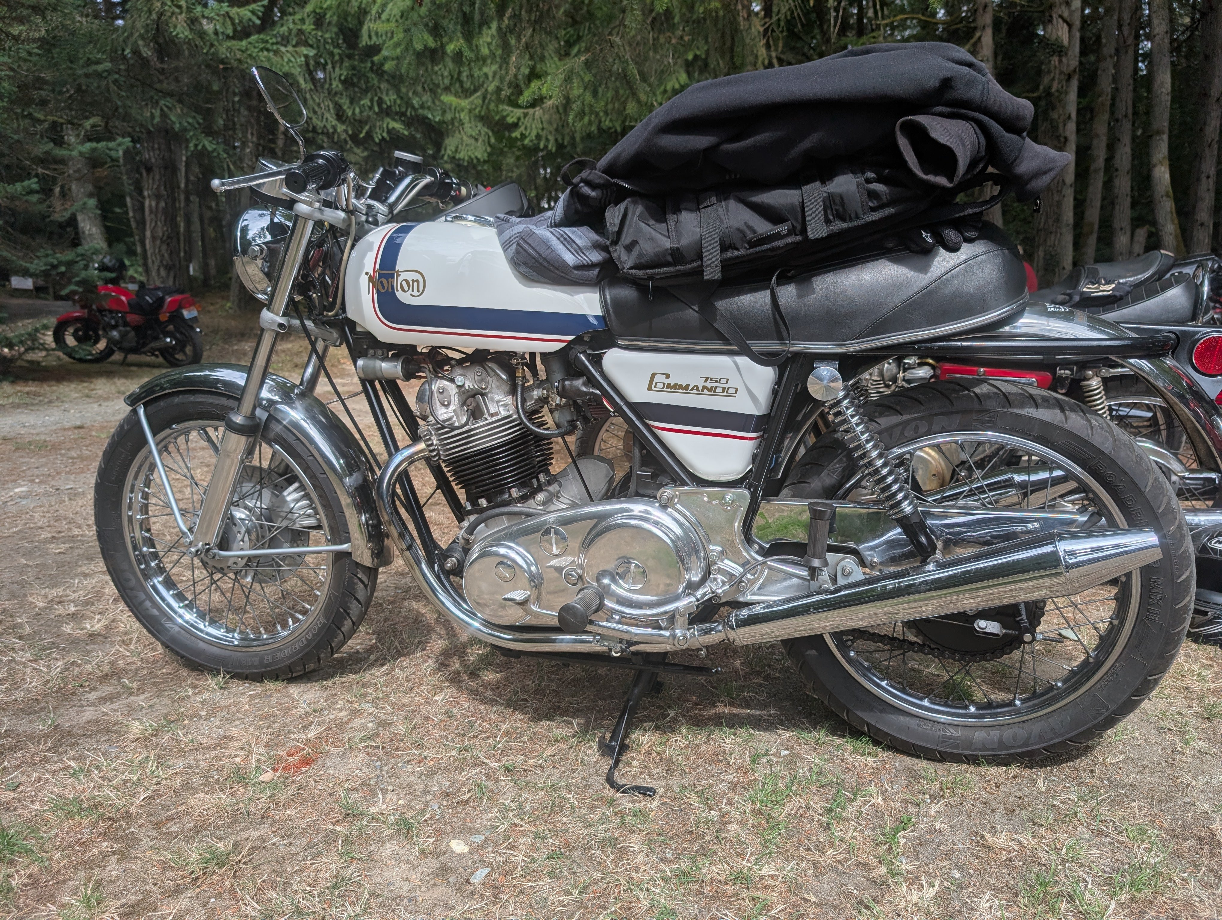 Norton
