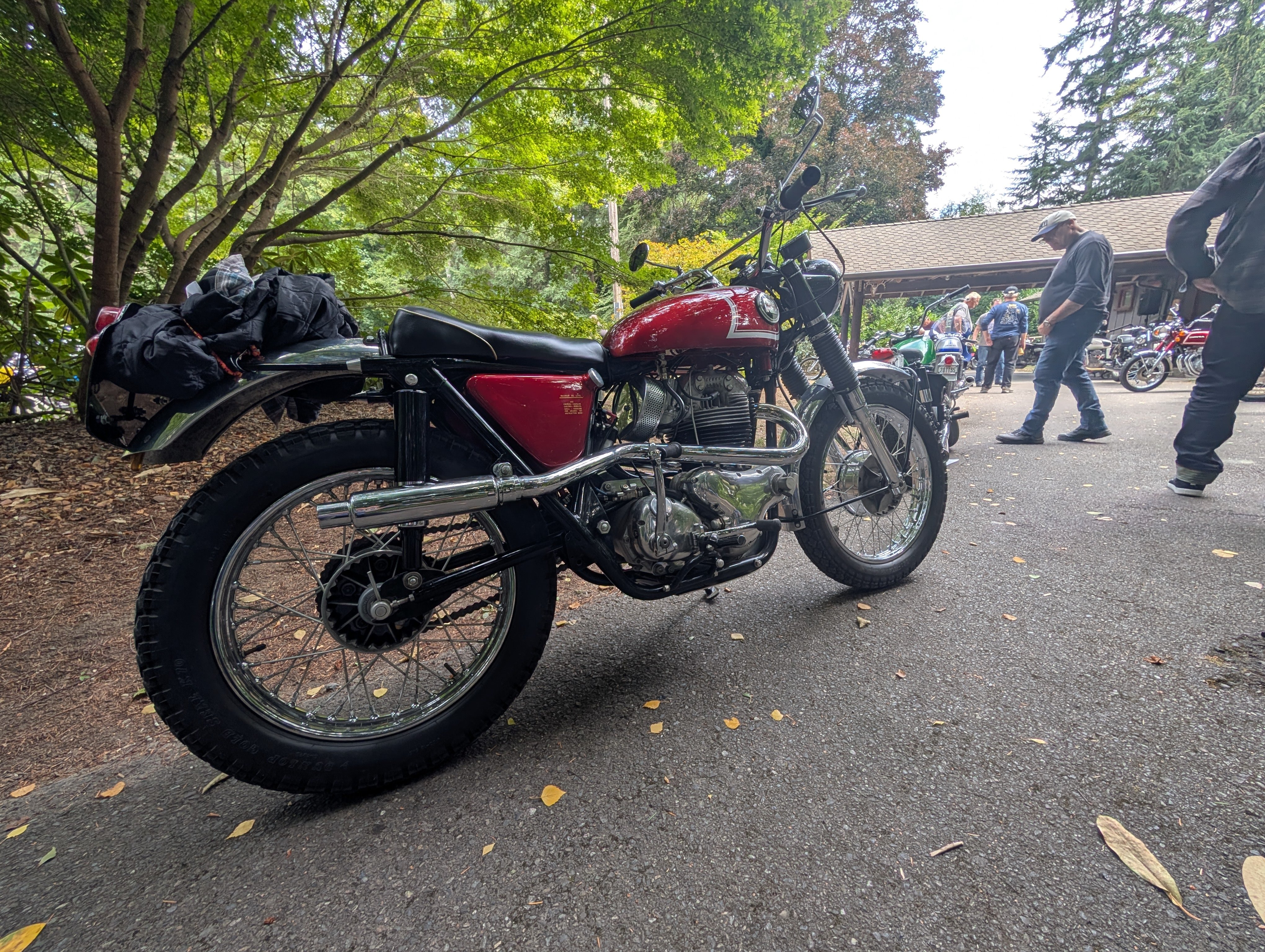Norton