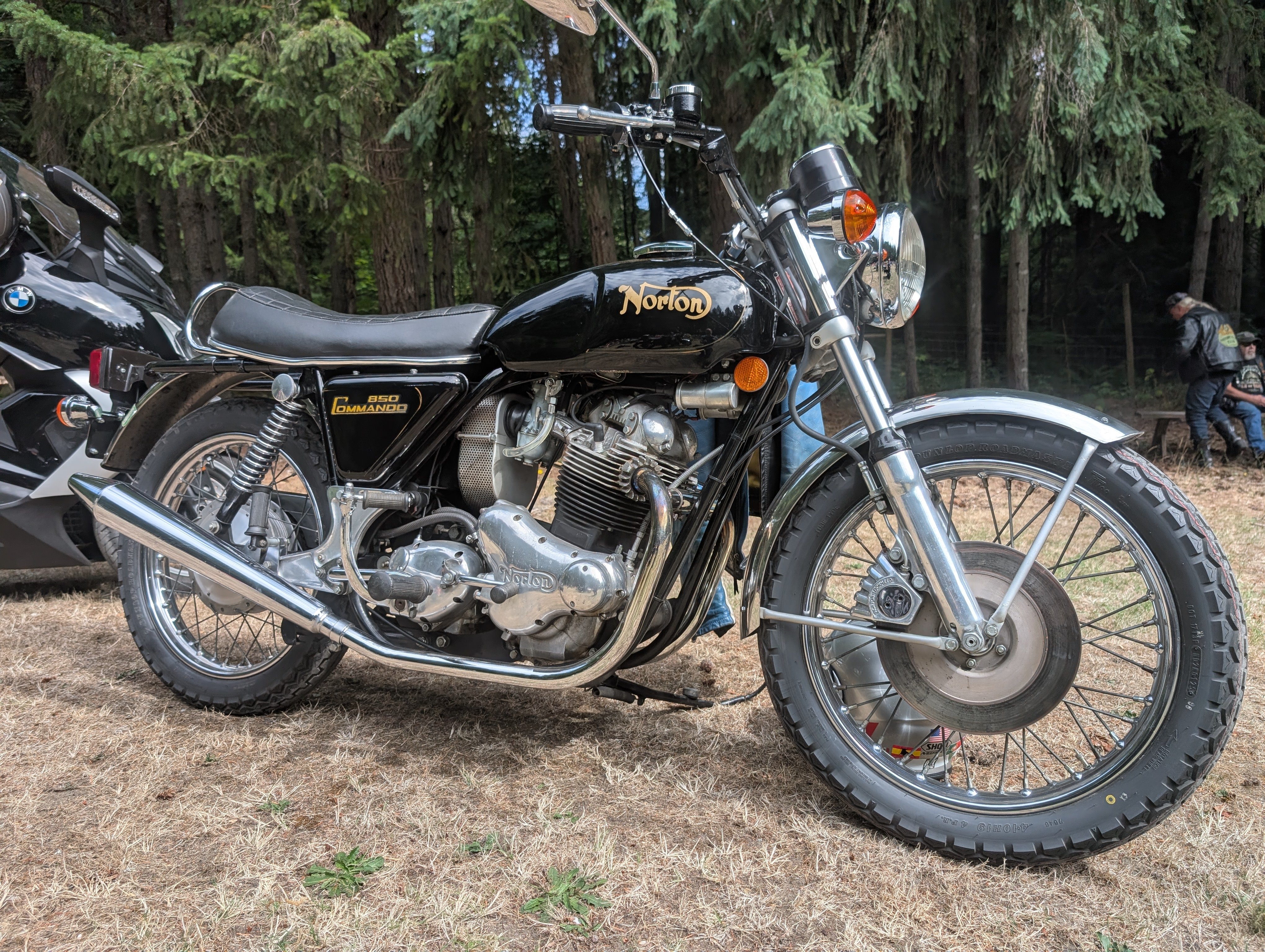 Norton