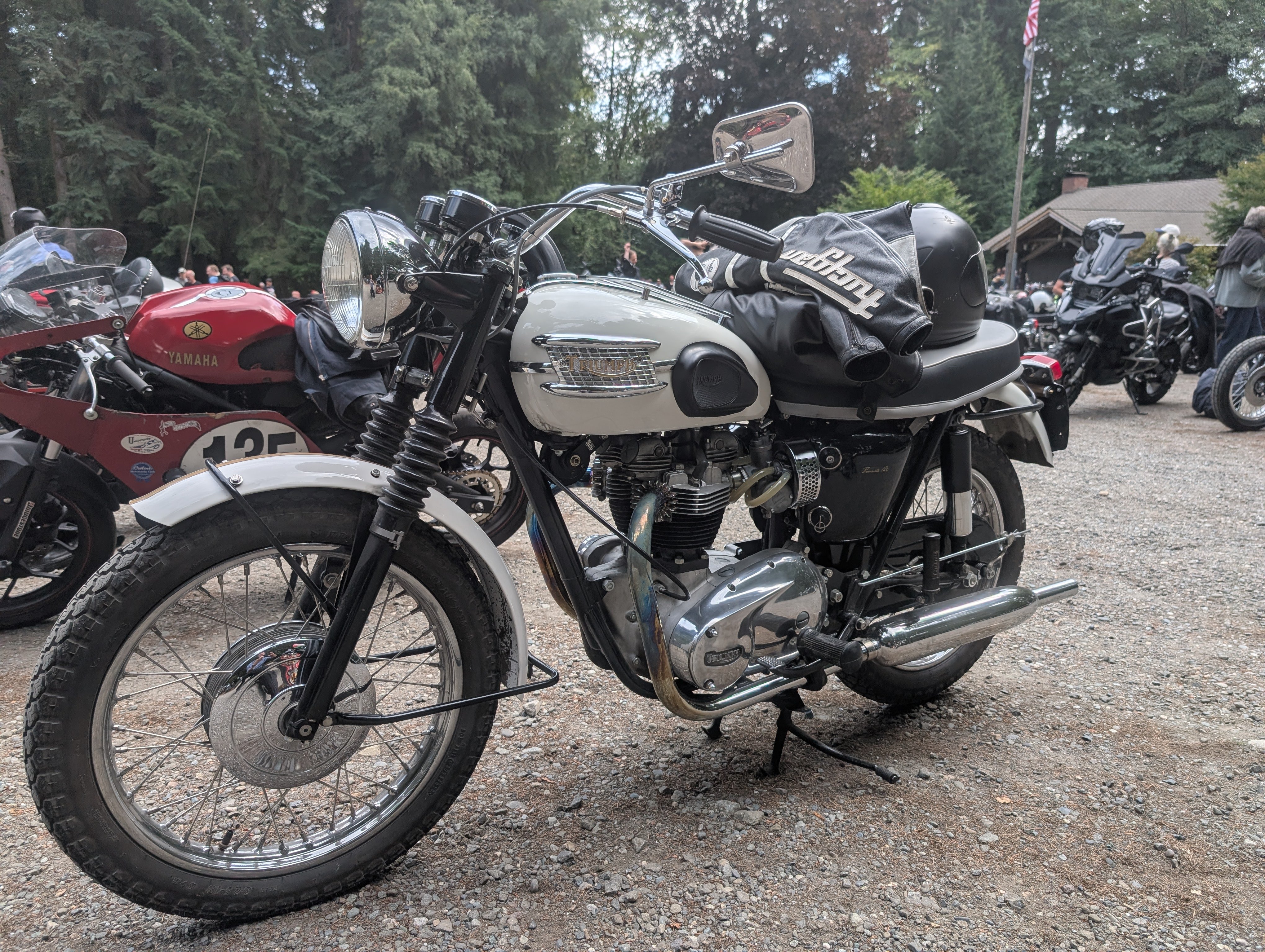 Triumph